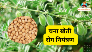 Read more about the article चना – किट एवं रोगों से संरक्षण इल्ली का सफाया ??