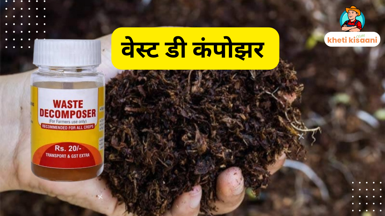 वेस्ट डी कंपोझर