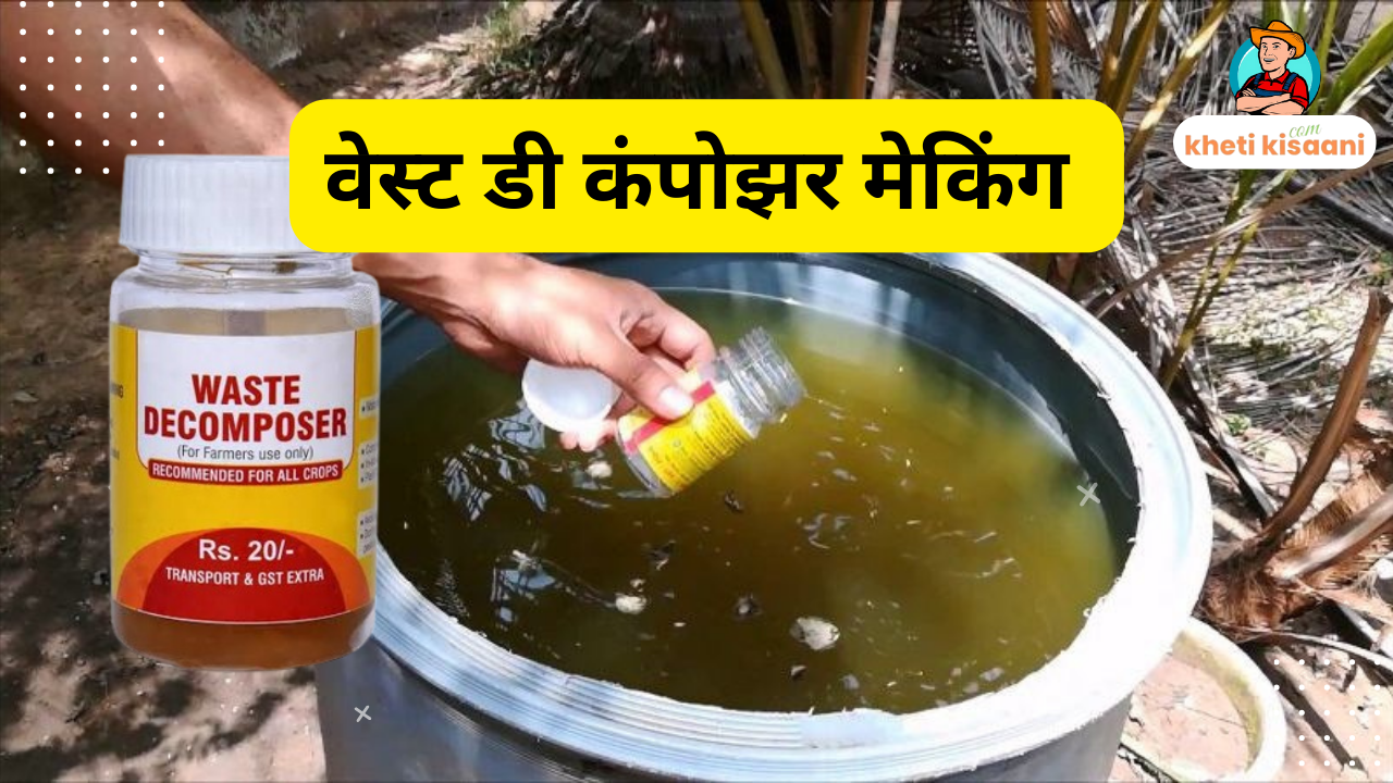 वेस्ट डी कंपोझर