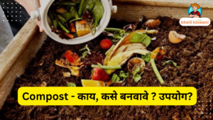 Read more about the article कंपोस्ट मातीला सक्षम बनवा