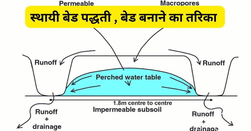 स्थायी बेड पद्धती Permanent raised beds बेड बनाणे का तरिका 