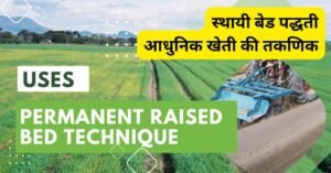 Read more about the article स्थायी बेड पद्धती Permanent raised beds मिट्टी की उर्वरकता बढाने का जबरदस्त उपाय