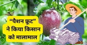 Read more about the article पैशन फ्रूट (Passion fruit) नये जमाने के विदेशी फल ने किया किसान को मालामाल