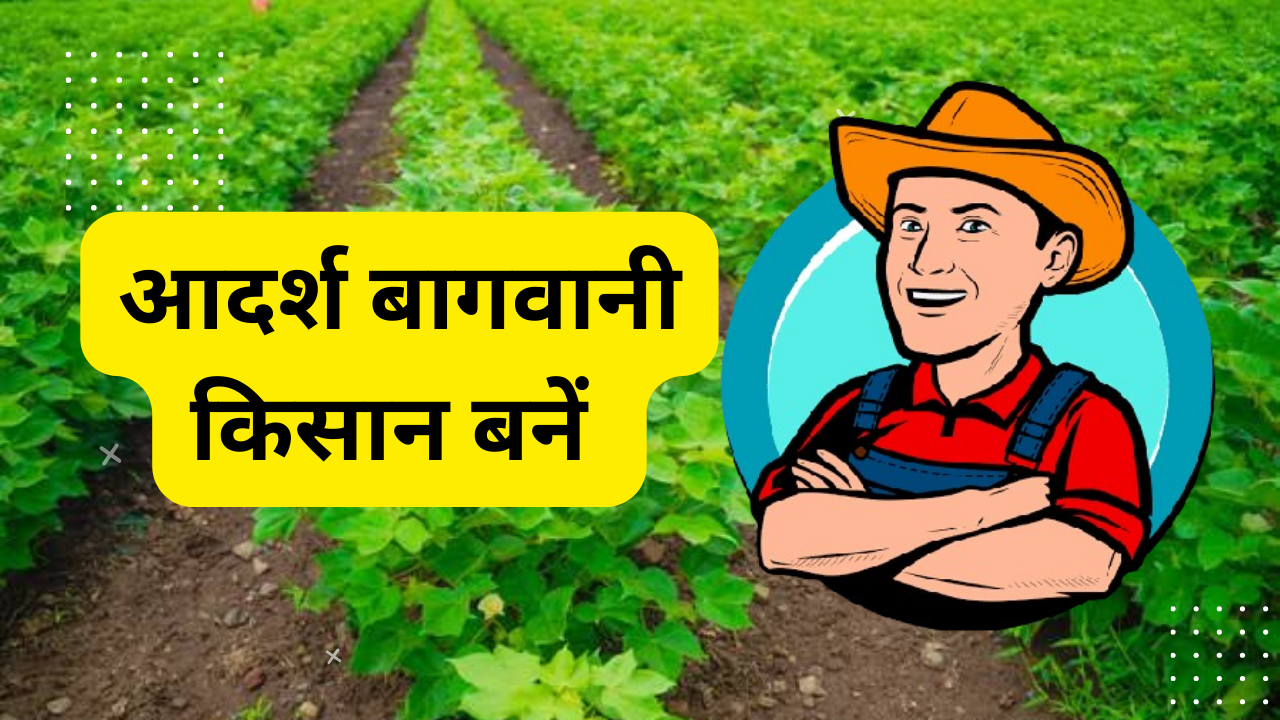 Read more about the article एक आदर्श बागवानी किसान बनने के नुस्खे और नियम