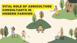 Read more about the article The Role of “Agriculture Consultants” in Modern Farming Practices