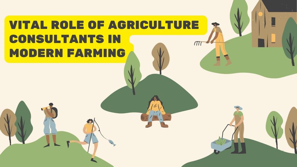 You are currently viewing The Role of “Agriculture Consultants” in Modern Farming Practices